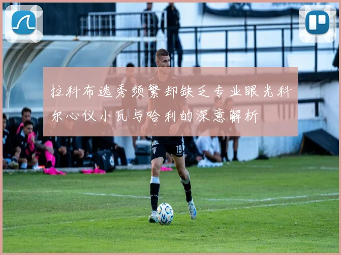 拉科布选秀频繁却缺乏专业眼光科尔心仪小瓦与哈利的深意解析